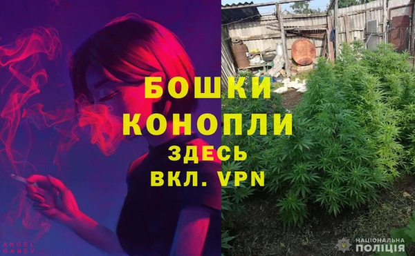 стаф Коряжма