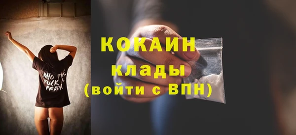 стаф Коряжма
