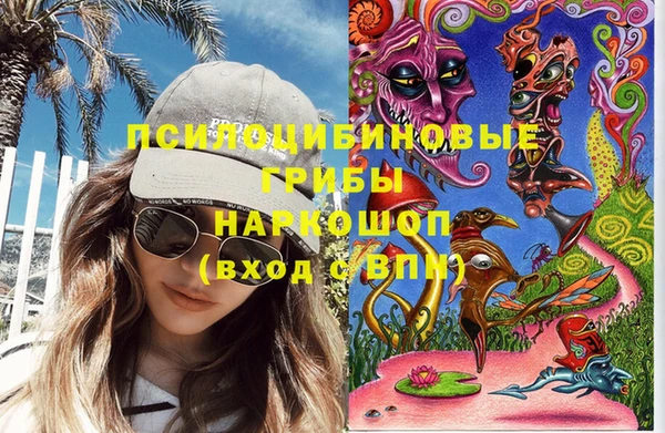 стаф Коряжма
