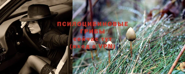 стаф Коряжма