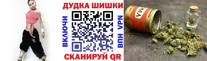 Купить где  Алзамай  Конопля Amnesia 
